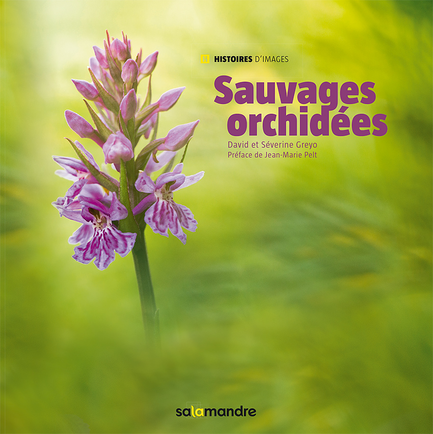 Sauvages Orchidées